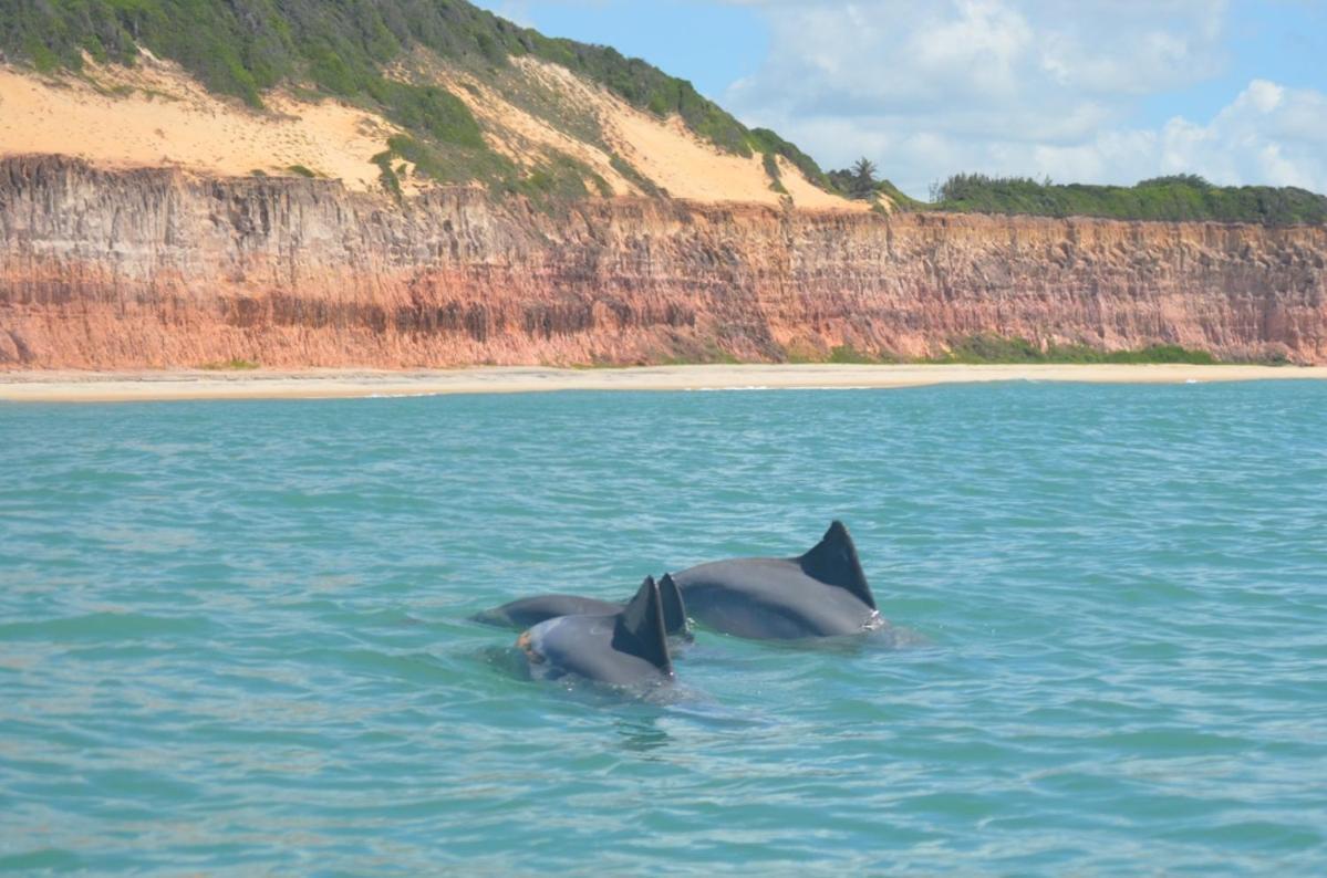 Chale Tulipa - Centro Praia Da Pipa Praia de Pipa ภายนอก รูปภาพ